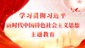 學習貫徹習近平新時代中國特色社會主義思想主題教育